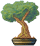 Potted tree