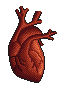 Anonymouslawl Human Heart icon/pixelart