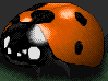 LadyBird icon/pixelart