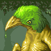 Birdeh  icon/pixelart