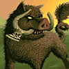 Year of the Boar