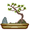 Bonsai icon/pixelart