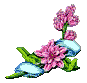 Added to favorites @ 4/29/2006 9:44:19 PM