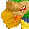 Bowser Xtreme