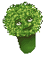 The Talky Broccoli
