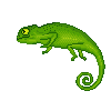 chameleon