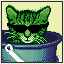 Puss In Bucket  icon/pixelart
