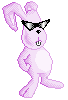 Pink Bunny