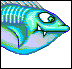 Sold out selout fishy