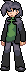 OLD Pokemon Diamond Trainer