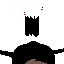 RAWR