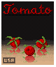 Tomato icon/pixelart