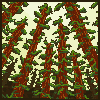 Redwood Perspective  icon/pixelart