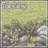 Old Forest Background