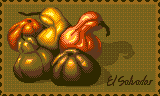 Ayotes