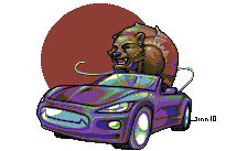 bearputt.gif