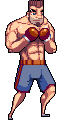Boxing Dude