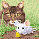 Cheese, mouse, cat
