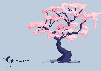 Cherry Blossom