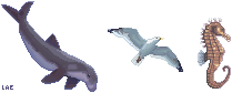 Ocean related animals