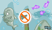 No Sharks!