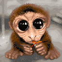 Depth of field challenge - overly cutified monkey