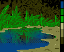 Pond