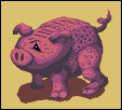 The Conformist Swine