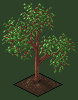Isometric Tree Set  icon/pixelart