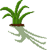 Grass clump