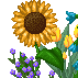 Added to favorites @ 8/1/2006 3:07:47 PM