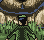 Giant DOG ! icon/pixelart
