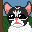 Kitty Cat