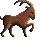 Capricorn