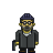 The Professional icon