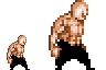 A Muscular Man