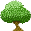 Lonely tree