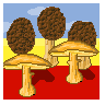 Romanian Mushrooms :)