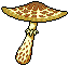Mushroom to my roommate 2