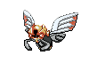 Ninjask