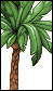 Palm