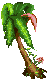 Palm Tree