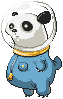 Panda goes to Space