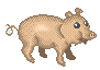Pig icon/pixelart