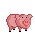 Swine
