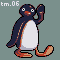 Pingu