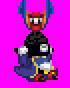 pirate fly