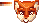 It's a fox