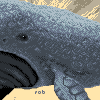 Floating Whales icon/pixelart