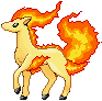 Ponyta